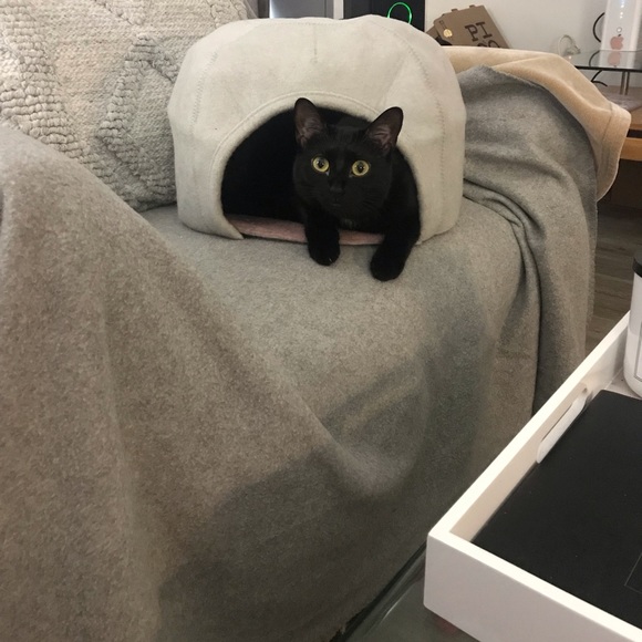 Meet your Posher, Sara - Picture 9 of 9